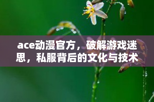 ace动漫官方,破解游戏迷思,私服背后的文化与技术探索 ace动漫官方,破解游戏迷思,私服背后的文化与技术探索