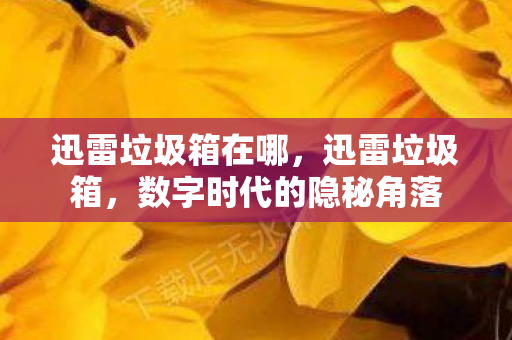 迅雷垃圾箱在哪,迅雷垃圾箱,数字时代的隐秘角落 迅雷垃圾箱在哪,迅雷垃圾箱,数字时代的隐秘角落