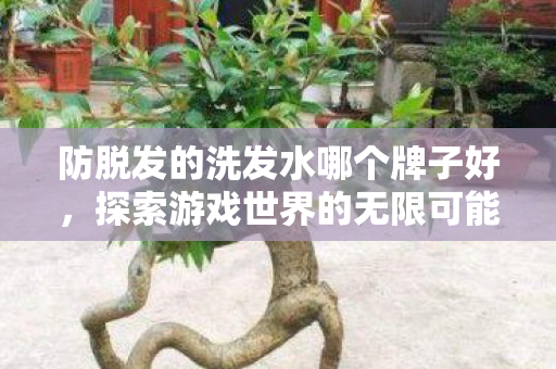 防脱发的洗发水哪个牌子好，探索游戏世界的无限可能，解锁游戏服务器的多样选择