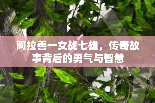 阿拉善一女战七雄,传奇故事背后的勇气与智慧 阿拉善一女战七雄,传奇故事背后的勇气与智慧