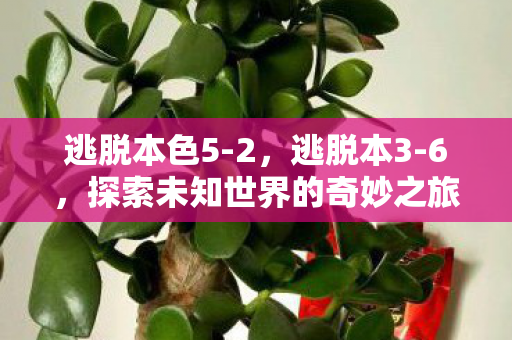 逃脱本色5-2,逃脱本3-6,探索未知世界的奇妙之旅 逃脱本色5-2,逃脱本3-6,探索未知世界的奇妙之旅