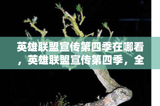 英雄联盟宣传第四季在哪看，英雄联盟宣传第四季，全新赛季，全新挑战