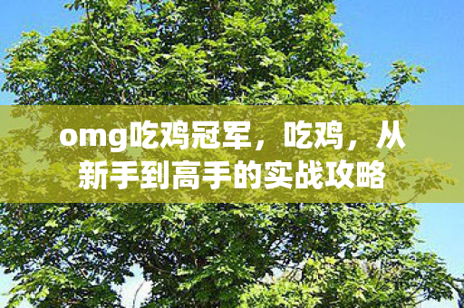 omg吃鸡冠军，吃鸡，从新手到高手的实战攻略