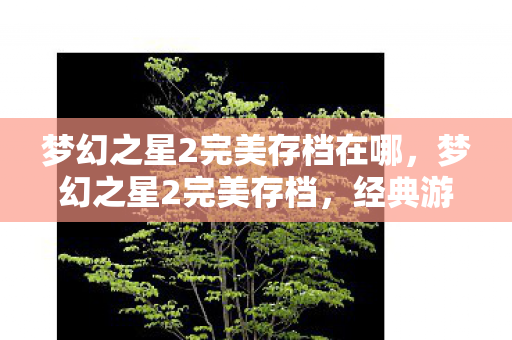 梦幻之星2完美存档在哪,梦幻之星2完美存档,经典游戏的珍贵记忆 梦幻之星2完美存档在哪,梦幻之星2完美存档,经典游戏的珍贵记忆
