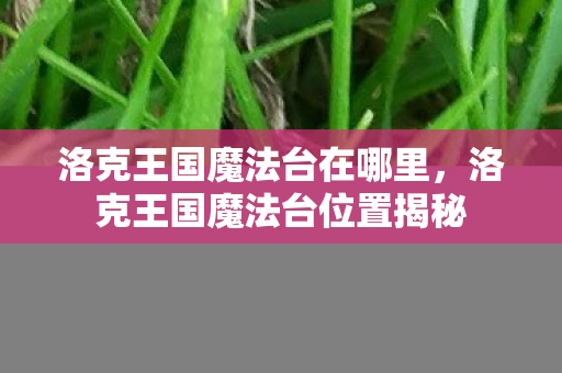洛克王国魔法台在哪里,洛克王国魔法台位置揭秘 洛克王国魔法台在哪里,洛克王国魔法台位置揭秘