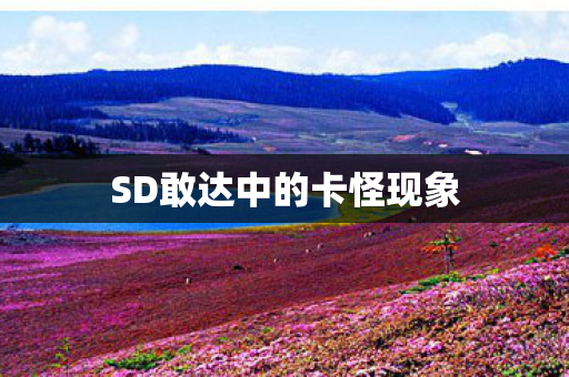 SD敢达中的卡怪现象 SD敢达中的卡怪现象