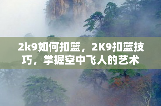 2k9如何扣篮,2K9扣篮技巧,掌握空中飞人的艺术 2k9如何扣篮,2K9扣篮技巧,掌握空中飞人的艺术