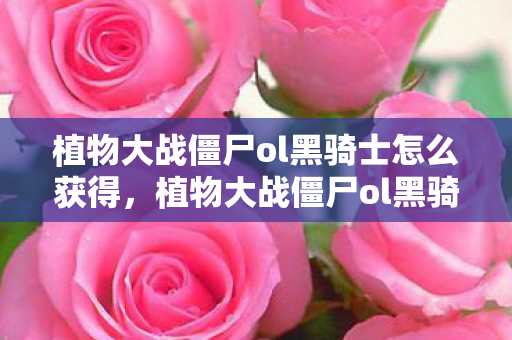 植物大战僵尸ol黑骑士怎么获得，植物大战僵尸ol黑骑士，探索未知世界的勇者之旅