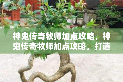 神鬼传奇牧师加点攻略，神鬼传奇牧师加点攻略，打造高效治疗与辅助的加点策略