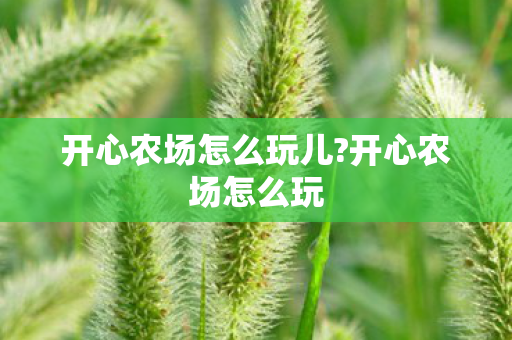 开心农场怎么玩儿?开心农场怎么玩