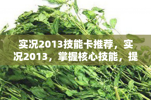 实况2013技能卡推荐，实况2013，掌握核心技能，提升游戏竞技水平