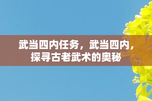 武当四内任务，武当四内，探寻古老武术的奥秘
