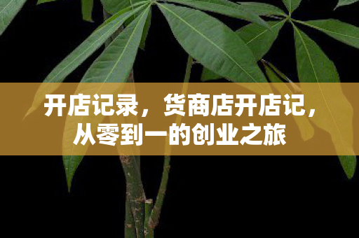 开店记录,货商店开店记,从零到一的创业之旅 开店记录,货商店开店记,从零到一的创业之旅