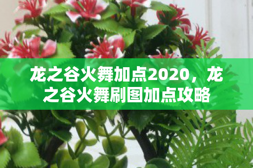 龙之谷火舞加点2020,龙之谷火舞刷图加点攻略 龙之谷火舞加点2020,龙之谷火舞刷图加点攻略