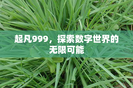 起凡999,探索数字世界的无限可能 起凡999,探索数字世界的无限可能