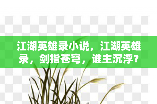 江湖英雄录小说，江湖英雄录，剑指苍穹，谁主沉浮？