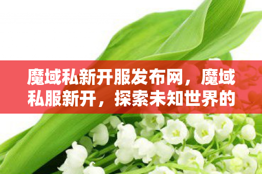 魔域私新开服发布网,魔域私服新开,探索未知世界的奇幻之旅 魔域私新开服发布网,魔域私服新开,探索未知世界的奇幻之旅