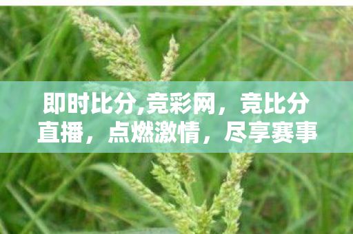即时比分,竞彩网,竞比分直播,点燃激情,尽享赛事盛宴 即时比分,竞彩网,竞比分直播,点燃激情,尽享赛事盛宴