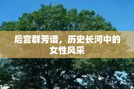 后宫群芳谱,历史长河中的女性风采 后宫群芳谱,历史长河中的女性风采