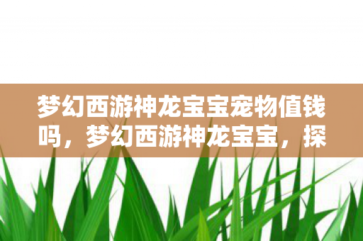 梦幻西游神龙宝宝宠物值钱吗,梦幻西游神龙宝宝,探索游戏中的神秘宠物 梦幻西游神龙宝宝宠物值钱吗,梦幻西游神龙宝宝,探索游戏中的神秘宠物