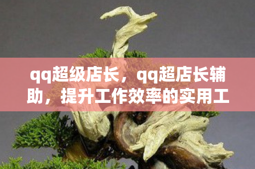 qq超级店长,qq超店长辅助,提升工作效率的实用工具 qq超级店长,qq超店长辅助,提升工作效率的实用工具