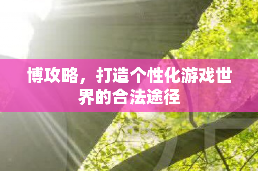 博攻略，打造个性化游戏世界的合法途径