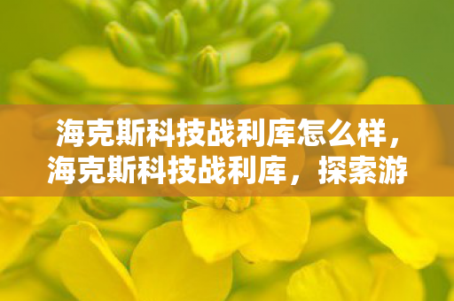 海克斯科技战利库怎么样,海克斯科技战利库,探索游戏世界的科技奥秘 海克斯科技战利库怎么样,海克斯科技战利库,探索游戏世界的科技奥秘