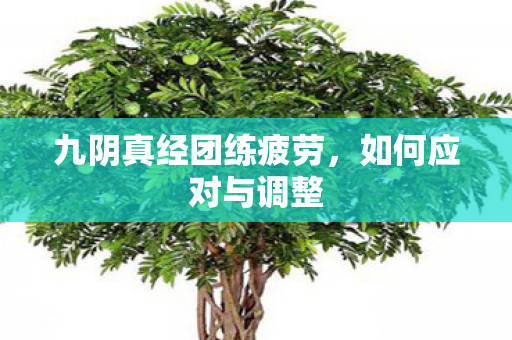 九阴真经团练疲劳,如何应对与调整 九阴真经团练疲劳,如何应对与调整