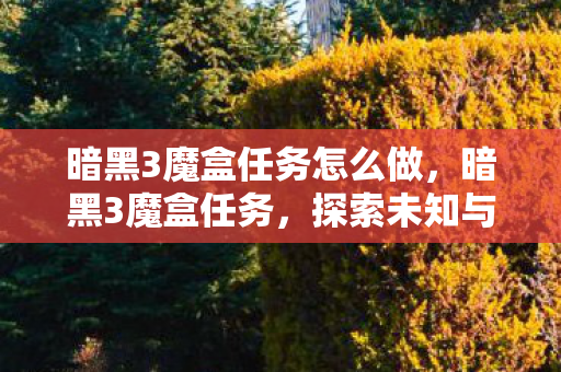 暗黑3魔盒任务怎么做,暗黑3魔盒任务,探索未知与冒险的奇幻之旅 暗黑3魔盒任务怎么做,暗黑3魔盒任务,探索未知与冒险的奇幻之旅