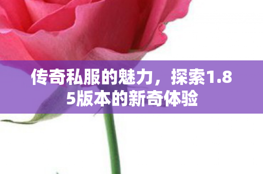 传奇私服的魅力，探索1.85版本的新奇体验