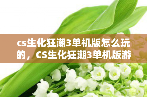 cs生化狂潮3单机版怎么玩的，CS生化狂潮3单机版游玩指南