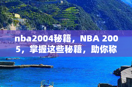 nba2004秘籍,NBA 2005,掌握这些秘籍,助你称霸球场 nba2004秘籍,NBA 2005,掌握这些秘籍,助你称霸球场