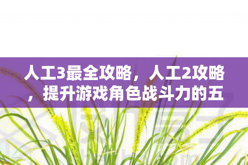 人工3最全攻略,人工2攻略,提升游戏角色战斗力的五大秘诀 人工3最全攻略,人工2攻略,提升游戏角色战斗力的五大秘诀
