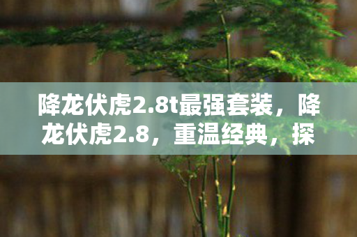 降龙伏虎2.8t最强套装,降龙伏虎2.8,重温经典,探索未知的游戏世界 降龙伏虎2.8t最强套装,降龙伏虎2.8,重温经典,探索未知的游戏世界