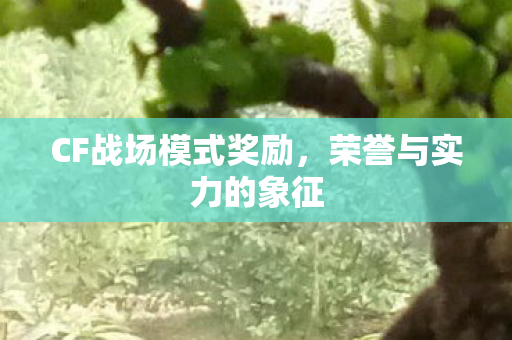 CF战场模式奖励,荣誉与实力的象征 CF战场模式奖励,荣誉与实力的象征