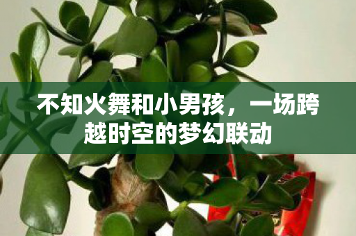 不知火舞和小男孩,一场跨越时空的梦幻联动 不知火舞和小男孩,一场跨越时空的梦幻联动