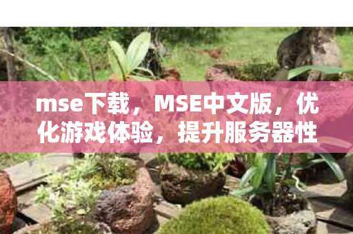 mse下载,MSE中文版,优化游戏体验,提升服务器性能 mse下载,MSE中文版,优化游戏体验,提升服务器性能