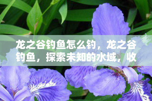 龙之谷钓鱼怎么钓,龙之谷钓鱼,探索未知的水域,收获满满的乐趣 龙之谷钓鱼怎么钓,龙之谷钓鱼,探索未知的水域,收获满满的乐趣