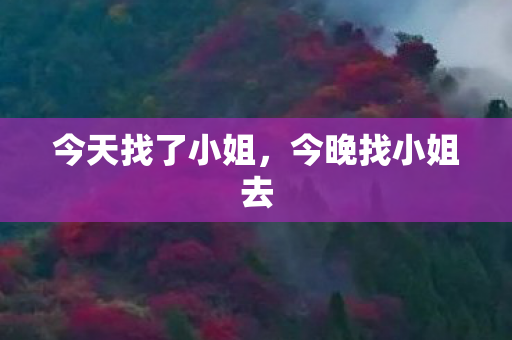 今天找了小姐,今晚找小姐去 今天找了小姐,今晚找小姐去