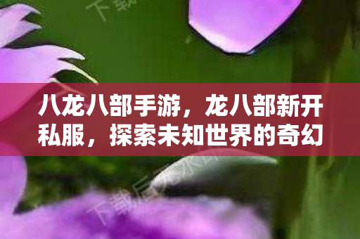 八龙八部手游，龙八部新开私服，探索未知世界的奇幻之旅