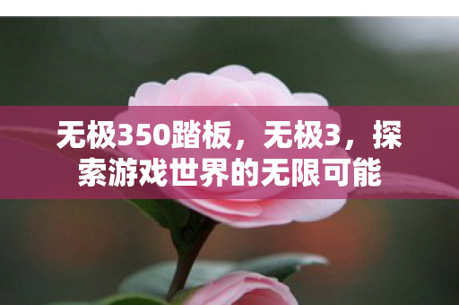 无极350踏板,无极3,探索游戏世界的无限可能 无极350踏板,无极3,探索游戏世界的无限可能
