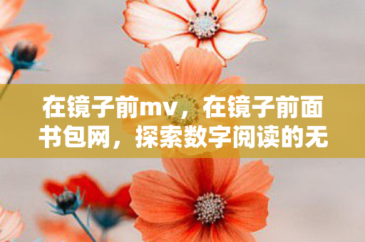 在镜子前mv,在镜子前面书包网,探索数字阅读的无限可能 在镜子前mv,在镜子前面书包网,探索数字阅读的无限可能