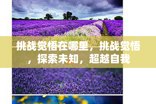 挑战觉悟在哪里,挑战觉悟,探索未知,超越自我 挑战觉悟在哪里,挑战觉悟,探索未知,超越自我