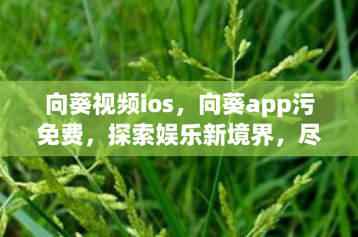 向葵视频ios,向葵app污免费,探索娱乐新境界,尽享无限可能 向葵视频ios,向葵app污免费,探索娱乐新境界,尽享无限可能