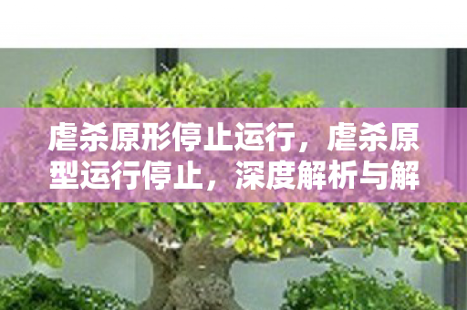 虐杀原形停止运行,虐杀原型运行停止,深度解析与解决方案 虐杀原形停止运行,虐杀原型运行停止,深度解析与解决方案