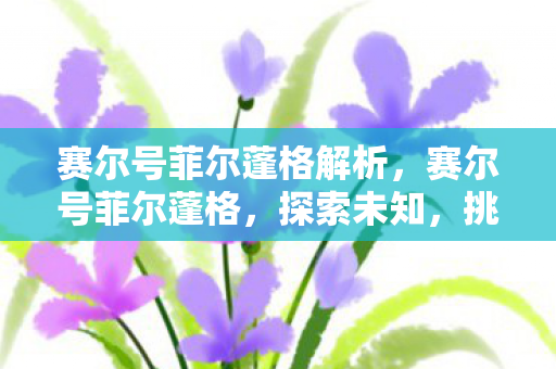 赛尔号菲尔蓬格解析,赛尔号菲尔蓬格,探索未知,挑战极限 赛尔号菲尔蓬格解析,赛尔号菲尔蓬格,探索未知,挑战极限