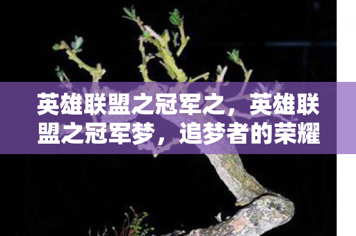 英雄联盟之冠军之,英雄联盟之冠军梦,追梦者的荣耀征程 英雄联盟之冠军之,英雄联盟之冠军梦,追梦者的荣耀征程