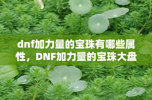 dnf加力量的宝珠有哪些属性,DNF加力量的宝珠大盘点 dnf加力量的宝珠有哪些属性,DNF加力量的宝珠大盘点