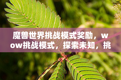 魔兽世界挑战模式奖励,wow挑战模式,探索未知,挑战极限 魔兽世界挑战模式奖励,wow挑战模式,探索未知,挑战极限