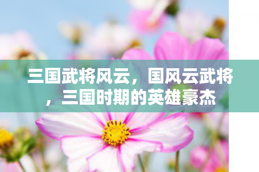 三国武将风云,国风云武将,三国时期的英雄豪杰 三国武将风云,国风云武将,三国时期的英雄豪杰